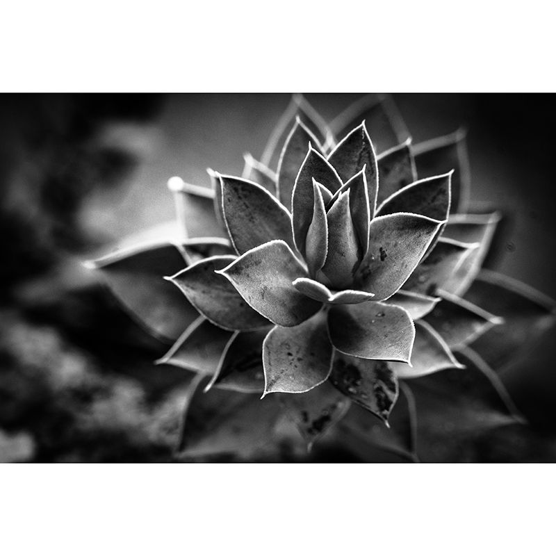 Green Plant Mural Wallpaper for Dining Room Reading Room, Custom Size Available