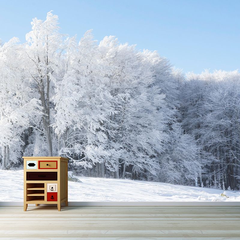 Photography Forest Mural Wallpaper for Living Room Wall Covering in Bright Color