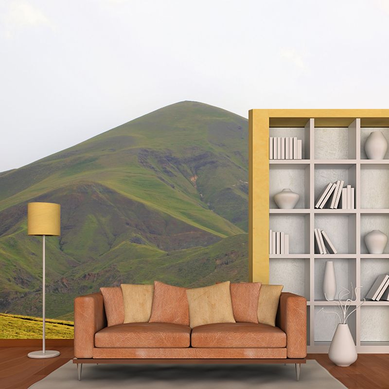 Mountain Wall Mural Wallpaper Modern Mildew Resistant for Decoration