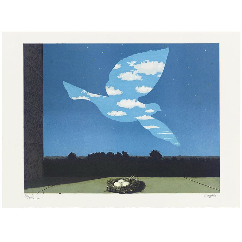 Illustration Hovering Pigeon Wall Murals Whole Wall Covering for Bedroom, Personalized Size