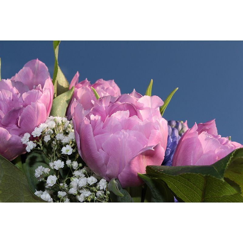 Gypsophila Flowers Wall Murals Stain Resistant Wall Decoration for Sleeping Room