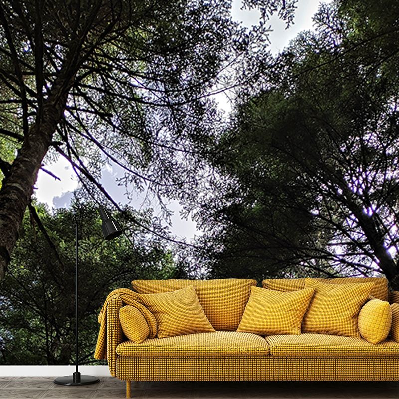 Dense Forest Wall Mural Decal for Living Room, Moisture Resistant, Custom Size Available