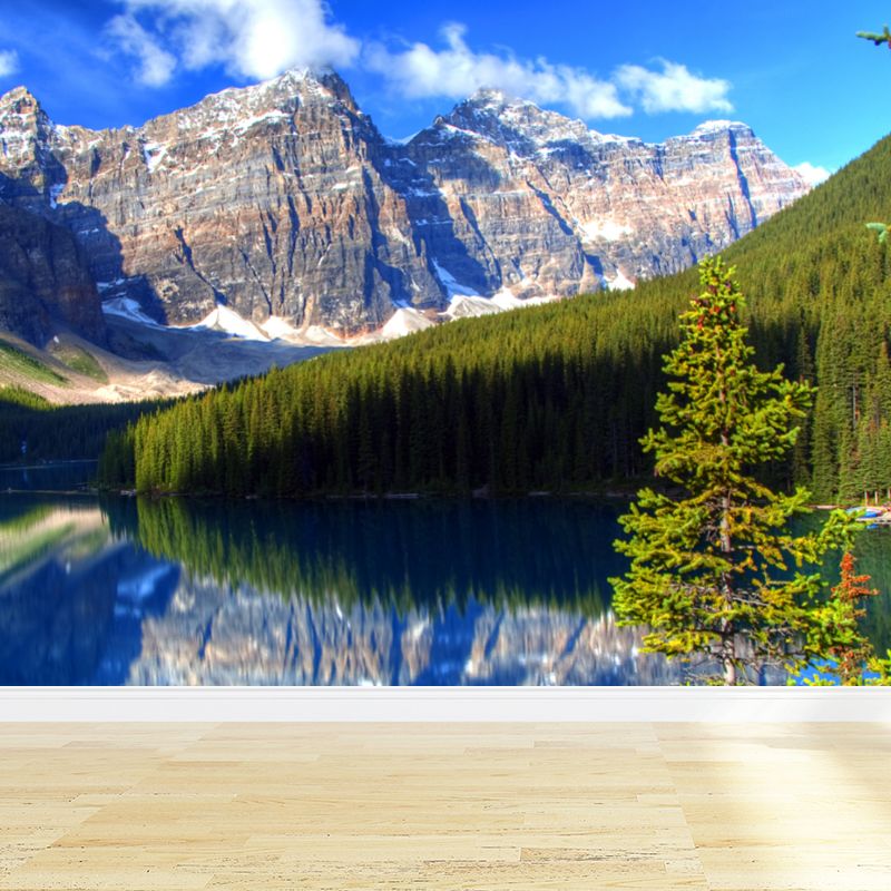 Stain Resistant Sky Scenery Mural Decal Non-Woven Modern Wall Decor for Girls Room