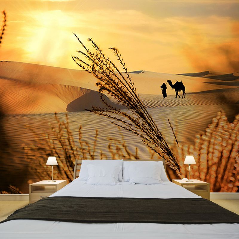 Beautiful Photography Mural Wallpaper Desert Environment Friendly Indoor Wall Mural