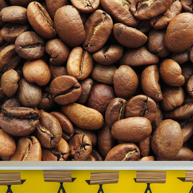 Simplicity Coffee Beans Mural Modern Decorative Eco-friendly for Decoration