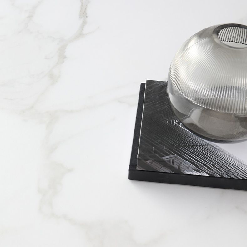 Contemporary Dining Furniture Set 1/2/3/5 Pcs Sintered Stone Dining Table and Chairs