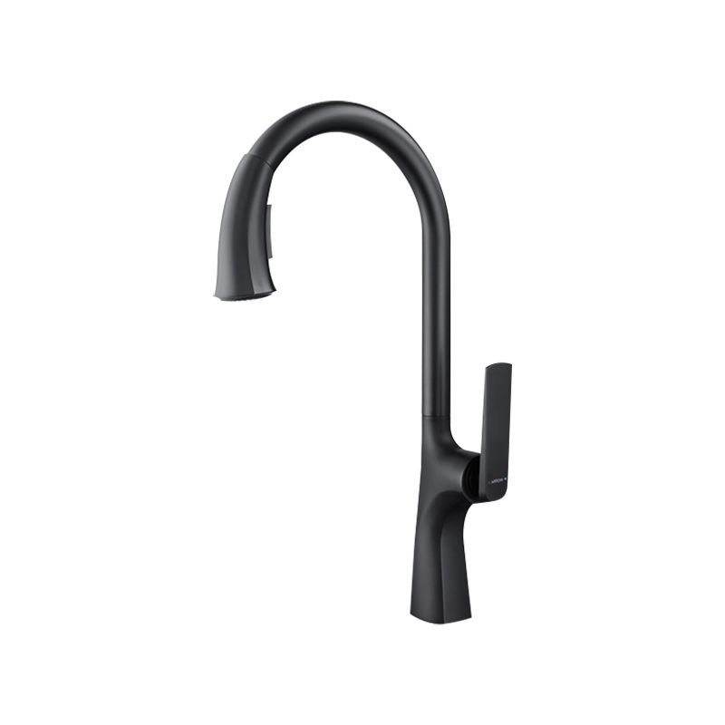 Contemporary Kitchen Faucet Gooseneck Swivel Spout with Pull Out Sprayer