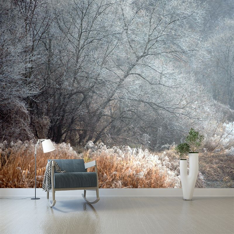 Contemporary Photography Style Forest Mural Wallpaper Mildew Resistant for Wall Decor