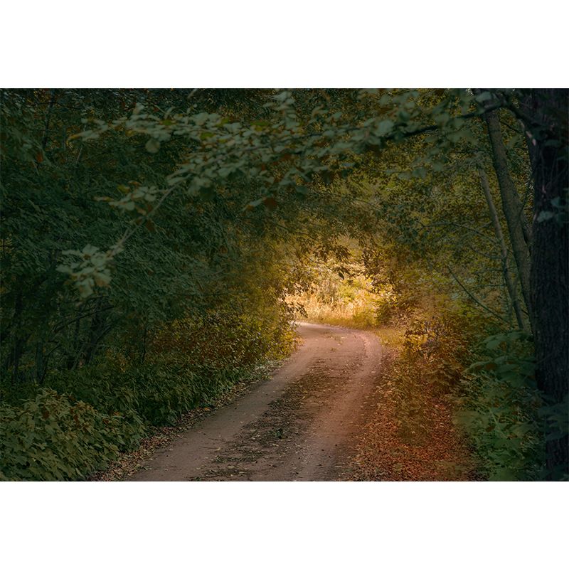 Customized 3D Spatial Extension Mural Wallpaper Eco-friendly for Living Room