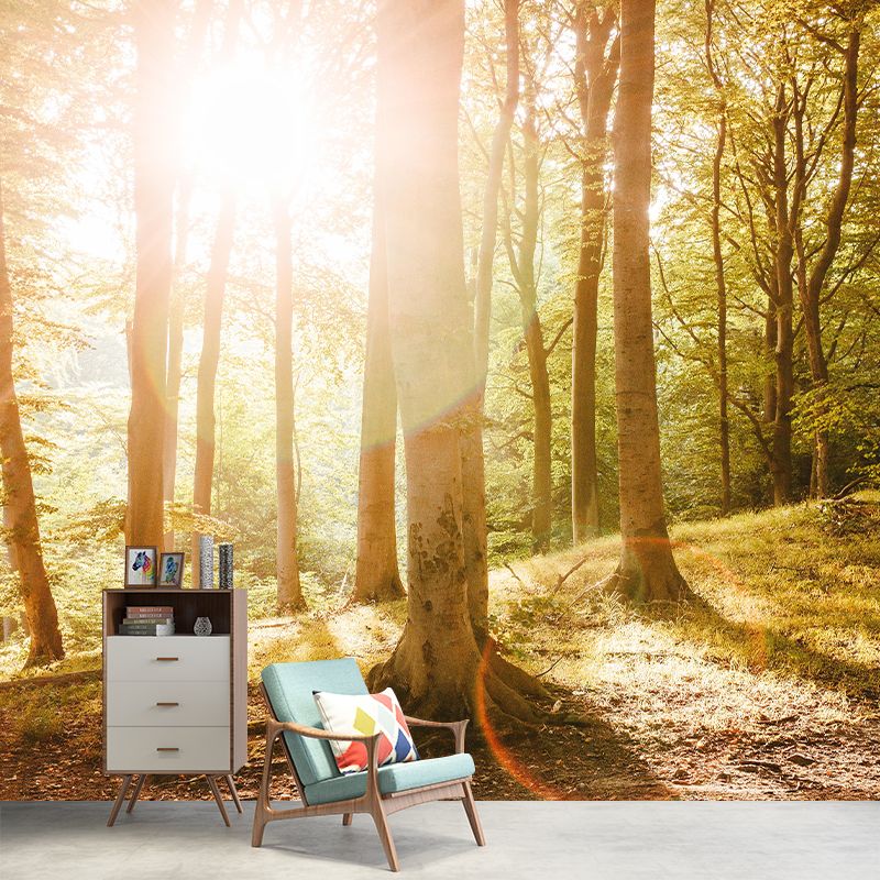 Photography Forest Mural Wallpaper Decorative Mildew Resistant Wall Decor