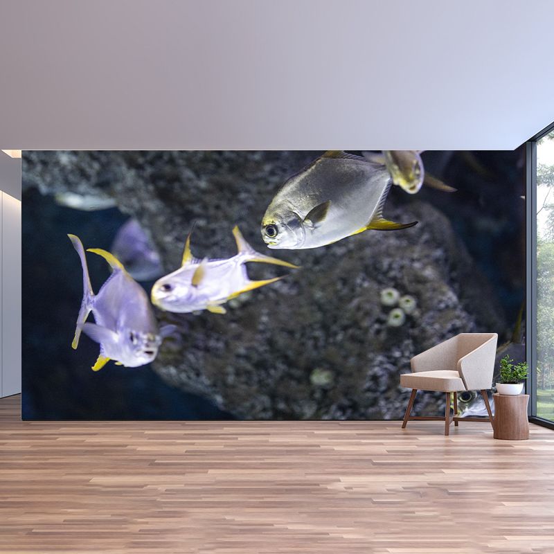 Seabed Mural Wallpaper Tropical Beach Mildew Resistant for Living Room