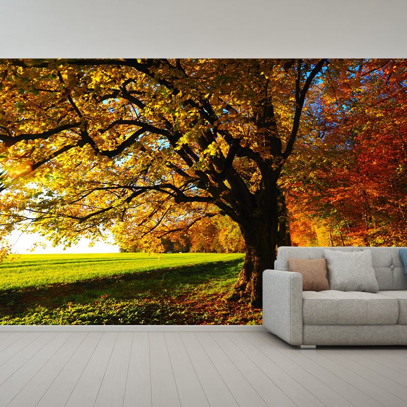 Eco-friendly Photography Forest Wall Mural Drawing Room Mural Wallpaper