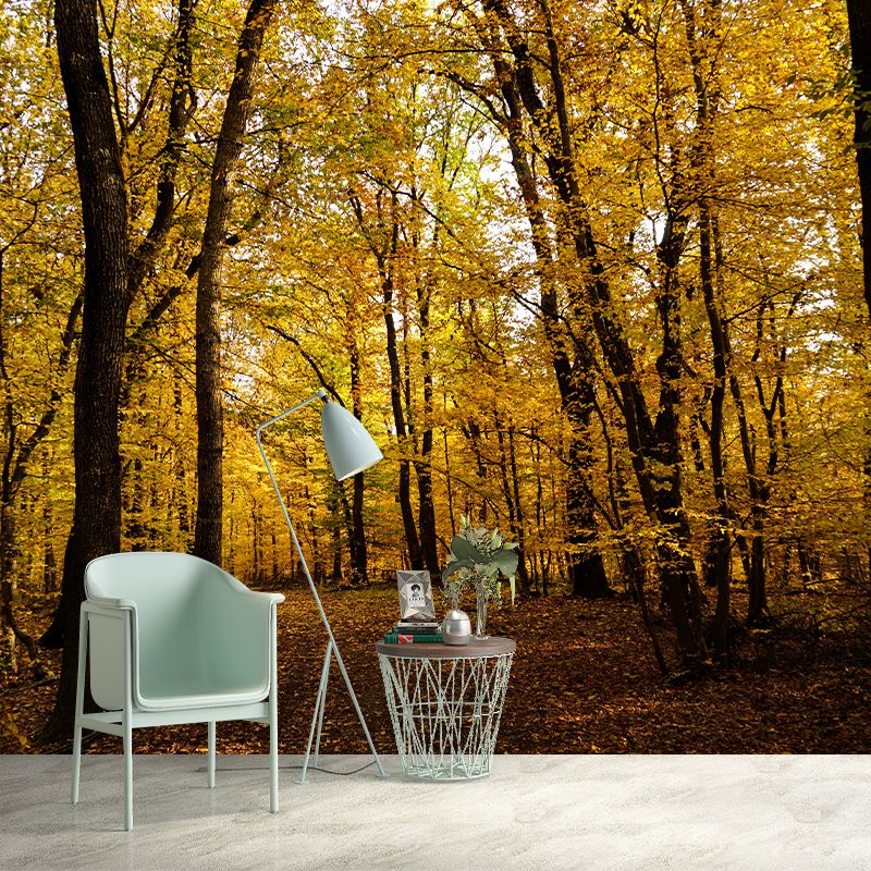 Forest Trees Mural Wallpaper, Stain Resistant Wall Decor for Kitchen Dining Room