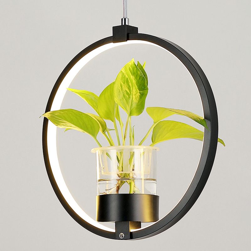 Modern Metal Hanging Lamp 1 Light Pendant Light for Dining Table  (without plants)