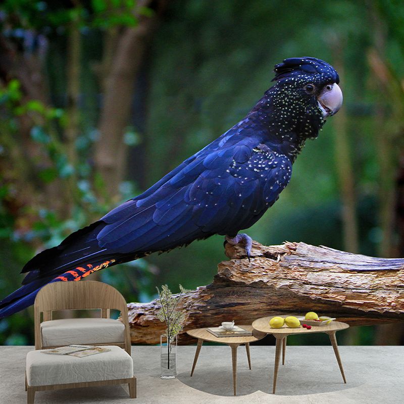 Lovely Parrot Wall Mural Wallpaper Mildew Resistant Wall Covering for Decoration