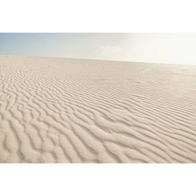 Photography Stain Resistant Wall Mural Wallpaper Desert Sitting Room Wall Mural