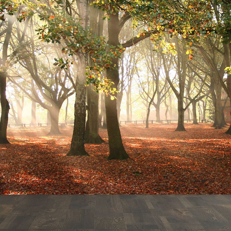 Photographic Misty Forest Wall Mural Big Wall Decor for House Interior, Custom Size