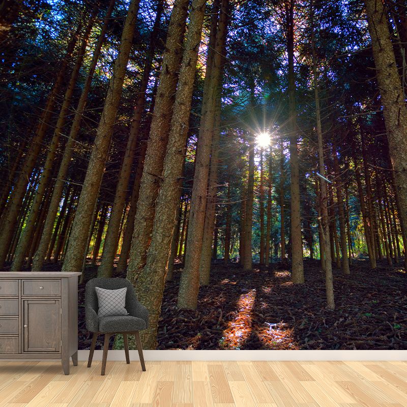 Forest Mural Decal Modern Mildew Resistant Wall Covering for Decoration