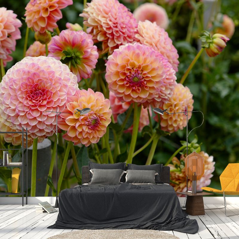 Bright Dahlia Mural Wallpaper Minimalist Wall Art, Customized Size Available