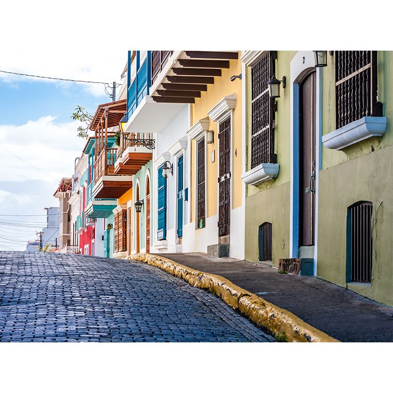 Waterproof Colored Houses Mural Modern Non-Woven Wall Art, Custom Size Available