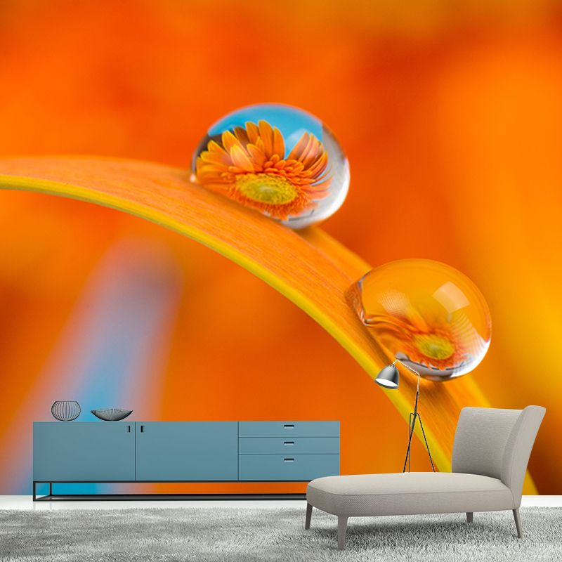 Daisy Mildew Resistant Wallpaper Photography Sleeping Room Wall Mural