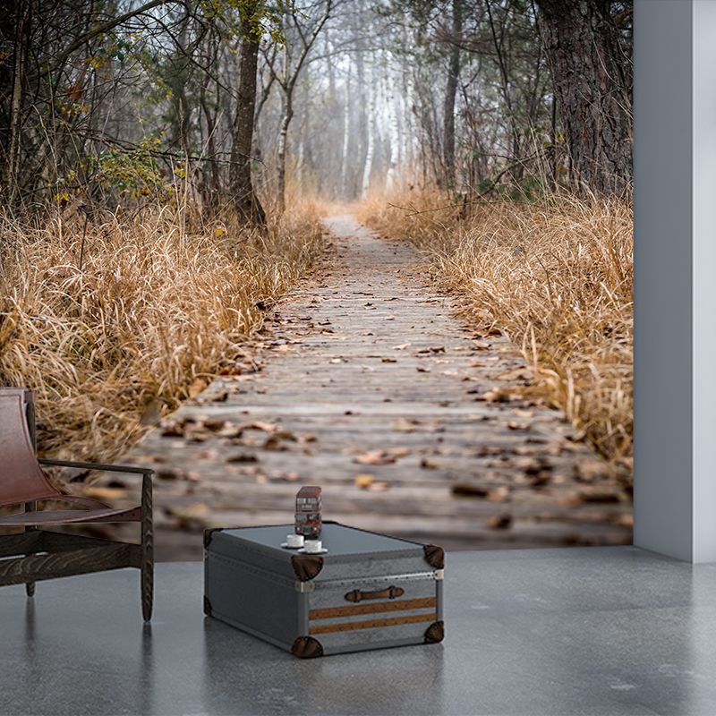 Space Extension Wallpaper Mural Photography Mildew Resistant for Living Room