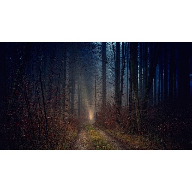 Photography Dark Forest Mural Wallpaper for Sitting Room Decor Multiple Sizes Available