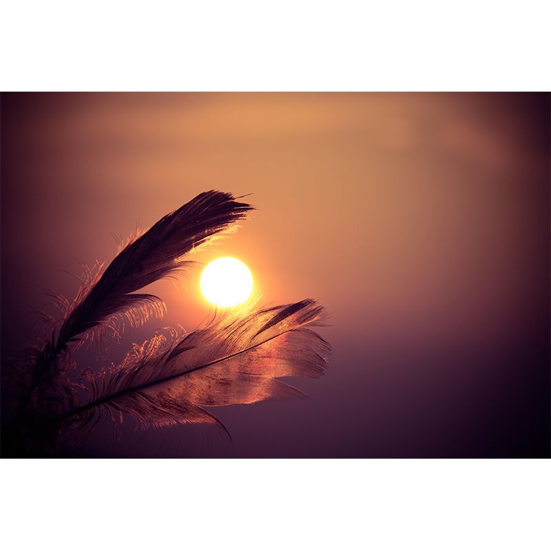 Feather Wall Mural Wallpaper Mildew Resistant Wall Covering for Decoration