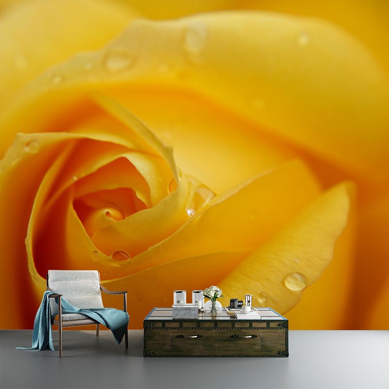 Photography Stain Resistant Mural Wallpaper Roses Living Room Wall Mural