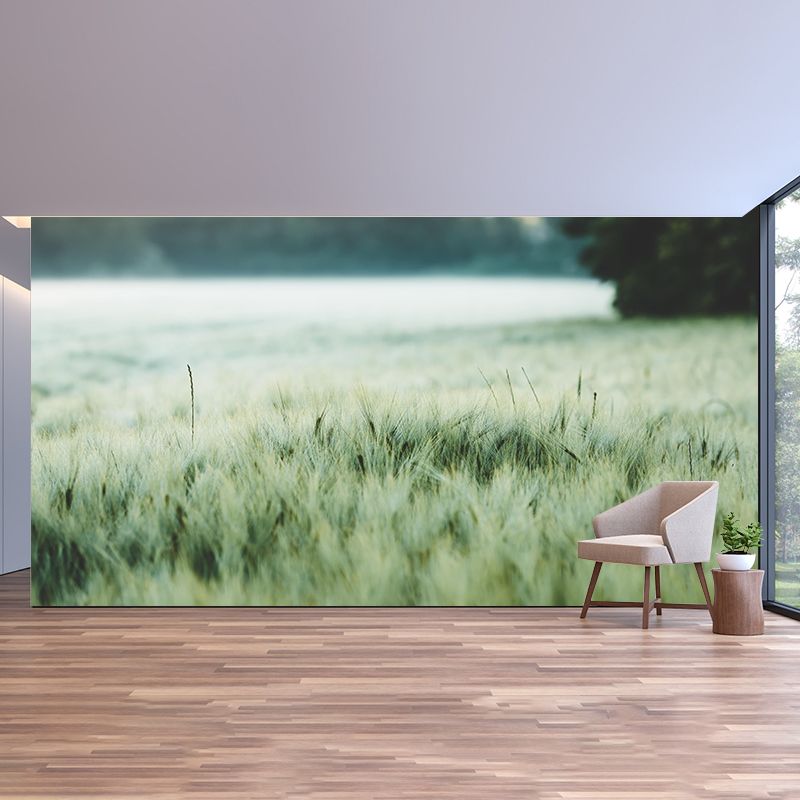 Relaxing Barley View Mural Wallpaper Pastel Color Modern Wall Covering for Drawing Room