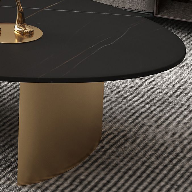 Glam Oval Slate Top Coffee Table Steel 2 Legs Cocktail Table