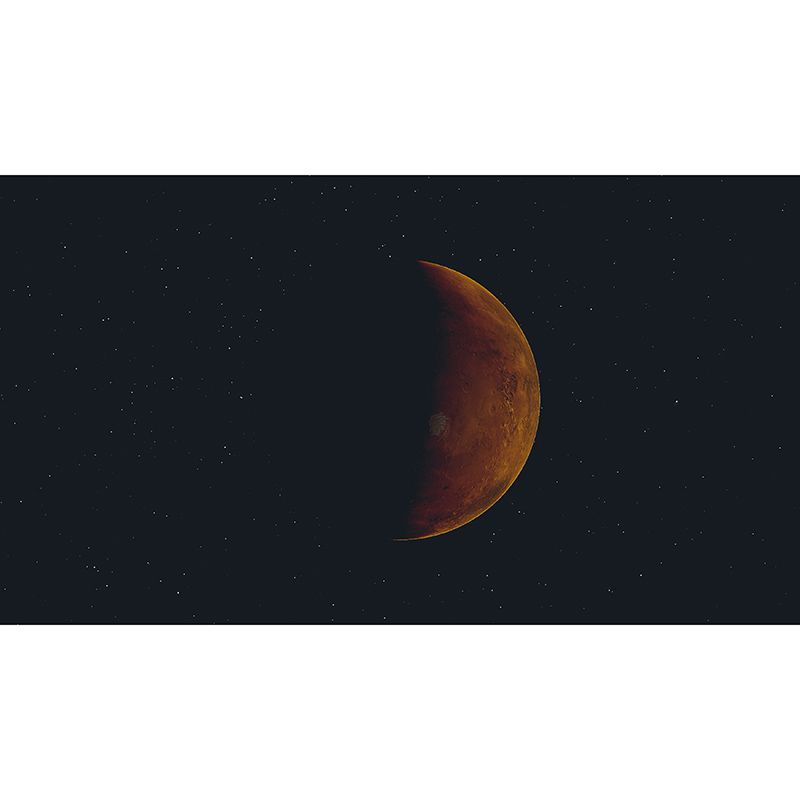 Photography Stain Resistant Mural Wallpaper Galaxy Living Room Wall Mural