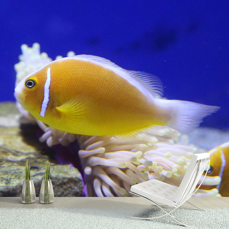 Underwater World Mural Contemporary Photography Wall Covering for Home Decor