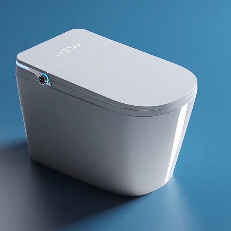 Contemporary Floor Mounted Toilet Bowl Heated Seat Included Urine Toilet for Washroom