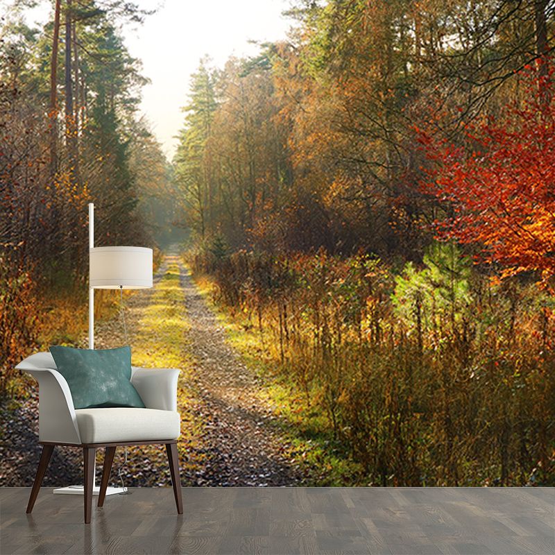 Customized Photography Space Extension Mural Eco-friendly for Home Decor