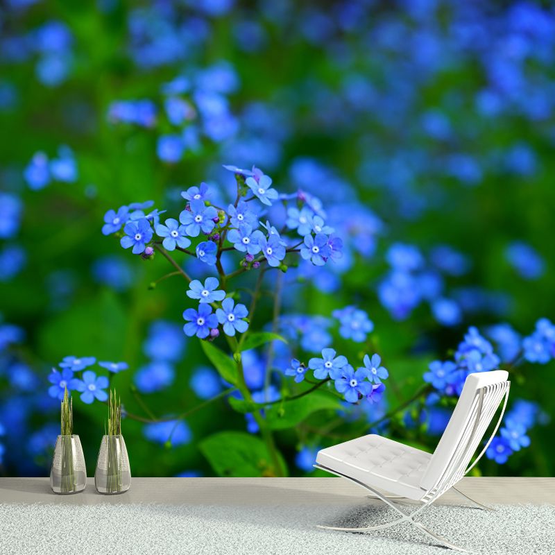 Forget Me Not Flower Mural Wallpaper Personalized Size Wall Covering for Bedroom