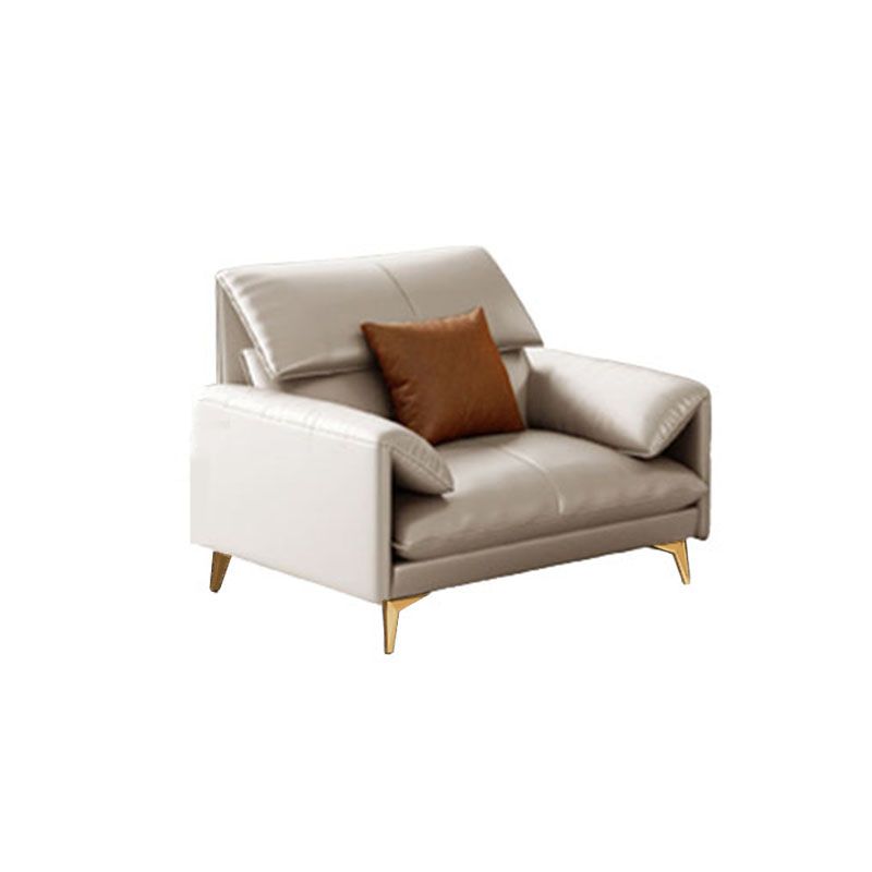 Standard Genuine Leather Contemporary Pillow Top Arm Stain Resistant Sofa Couch