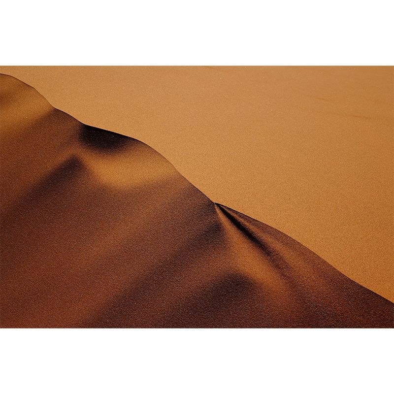 Customized Desert Wall Mural Modernism Mildew Resistant Wall Decor for Sleeping Room