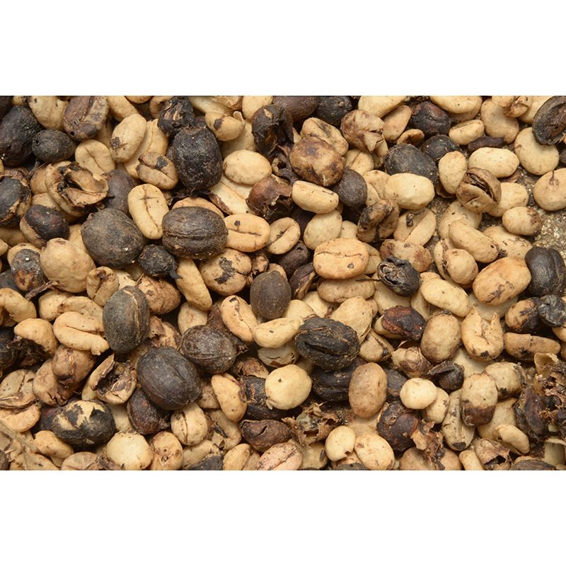 Modern Coffee Beans Mural Photography Horizontal Wall Covering for Coffee Shop