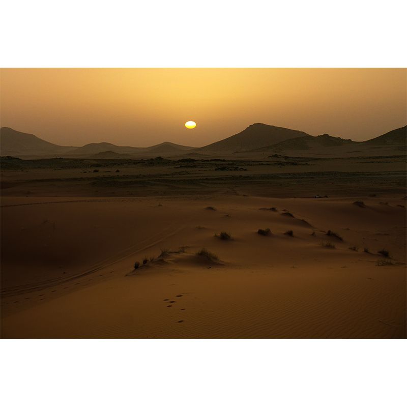 Desert Scenery Removable Wall Mural for Living Room Bedroom, Made to Measure