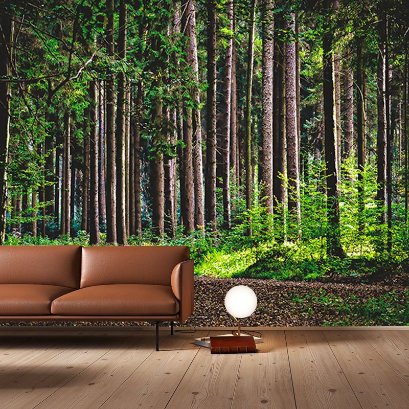 Forest Photo Wall Mural for Living Room Moisture Resistant, Customized Size