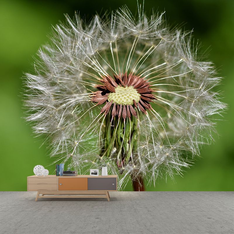 Dandelion Plant Mural Wallpaper Water-Resistant Wall Covring for Bedroom Decoration