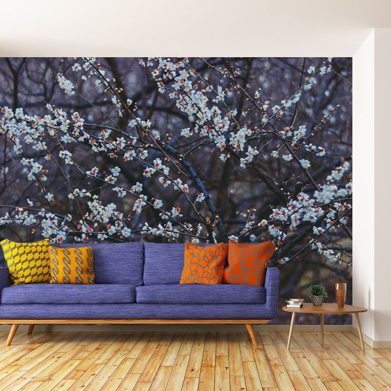 Customized Plum Bossom Mural Wallpaper Contemporary for Guest Room Decor