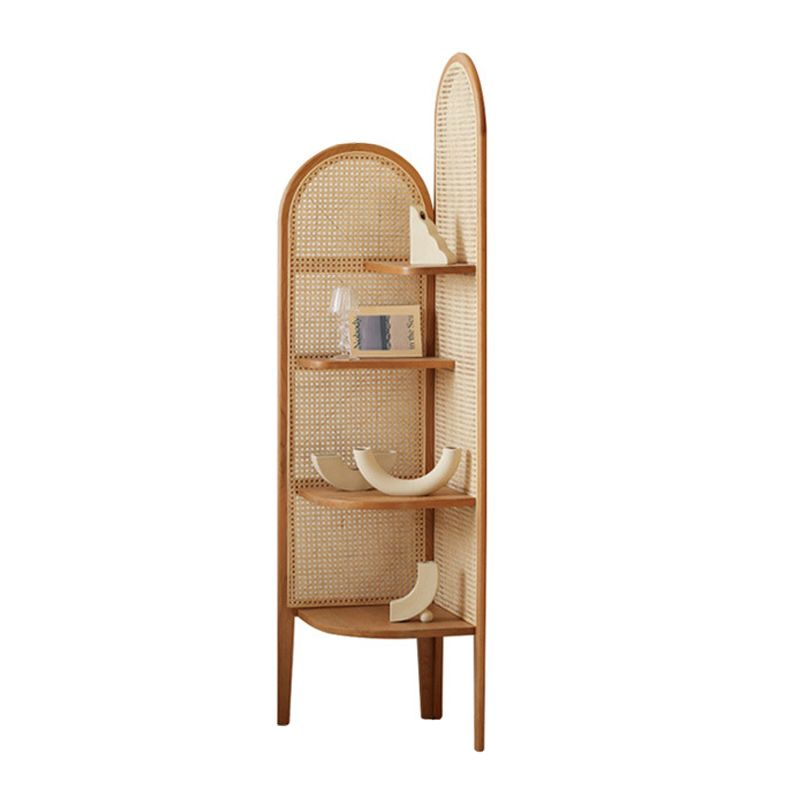 Mid-Century Modern Storage Cabinet with Adjustable Shelves Cabinet