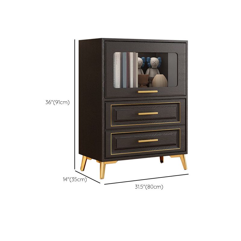 Contemporary Black Chest Glass Paned Accent Cabinet with Drawer
