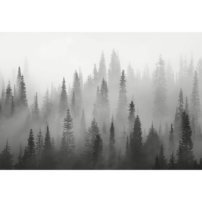 Enormous Misty Trees Wall Mural in Grey Non-Woven Wall Covering for Home Decor, Custom-Printed