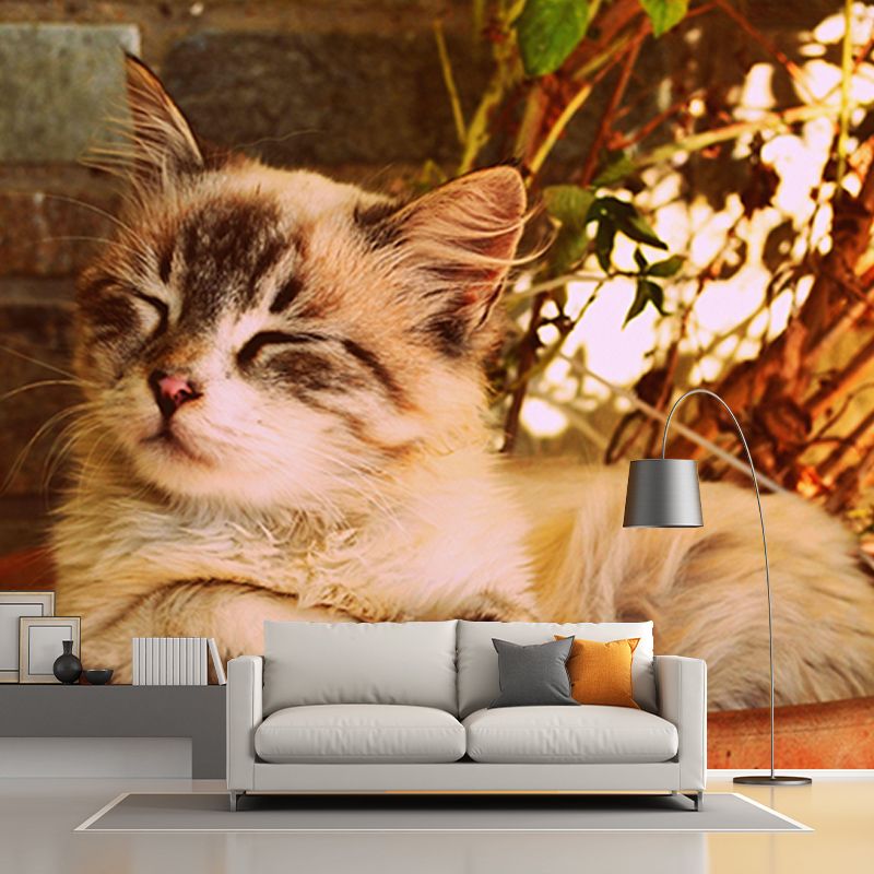 Photography Wall Mural Wallpaper Cats Sitting Room Wall Mural