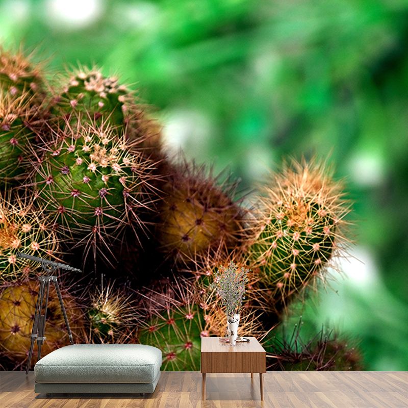 Cactus Plant Murals Wallpaper for Living Room Moisture Resistant, Custom Size Available