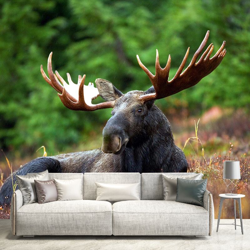 Modern Bucks Mural Wall Decor Mildew Resistant Living Room Wall Mural Wall Art