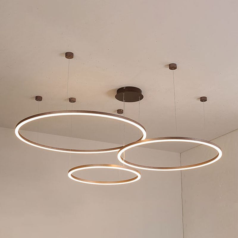 Modern Orbicular Pendant Lighting Fixtures Metal Pendant Chandelier